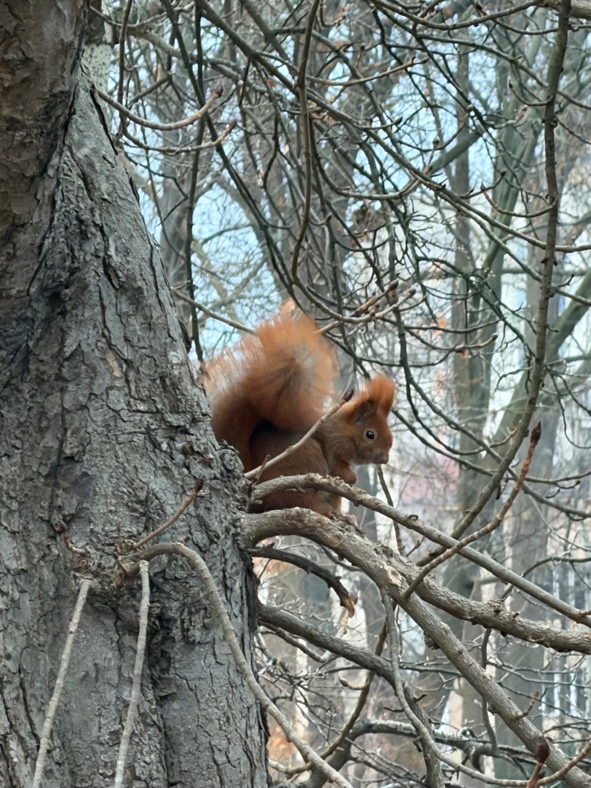 c74df821-3a3c-4ea3-beef-a2b72b9874be