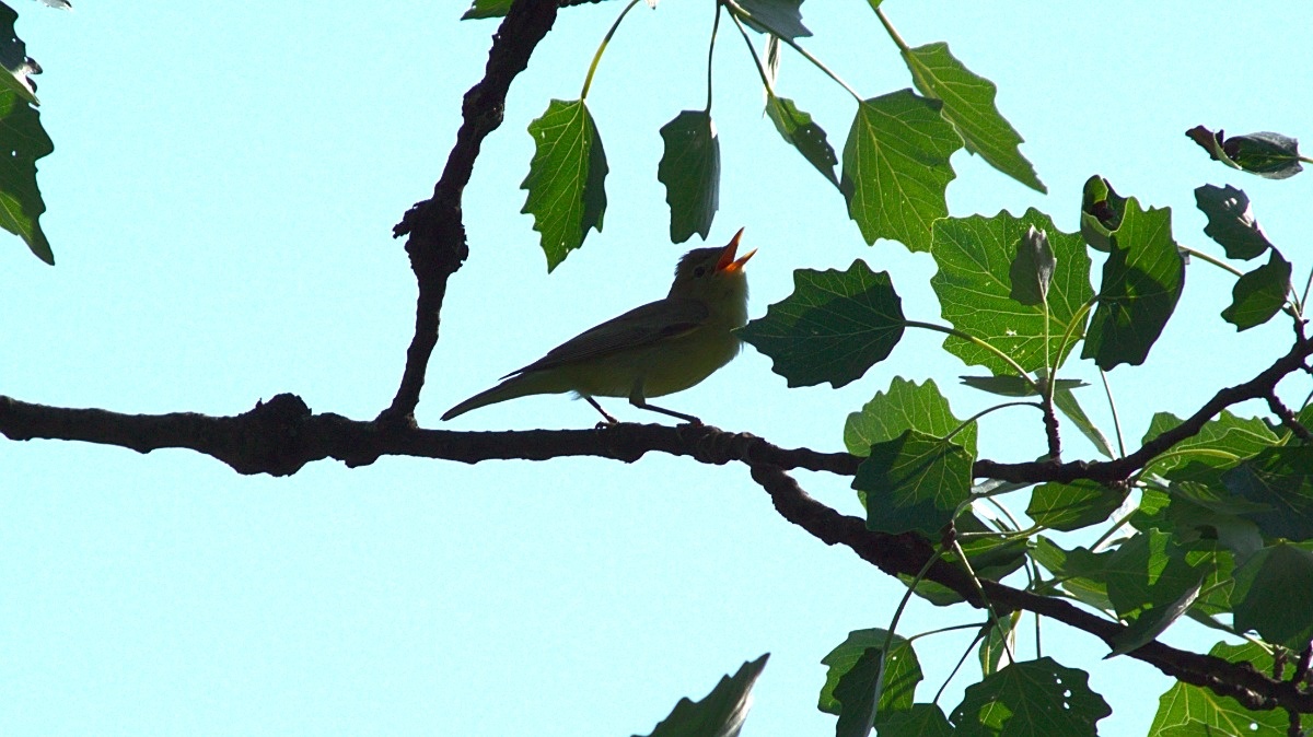 4bfd30d4-100f-4f13-94ae-4340dd51cf0b