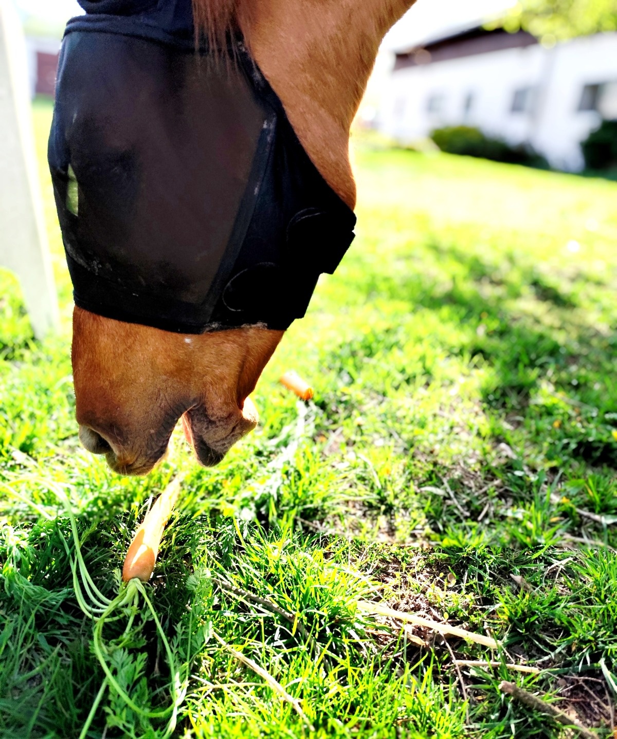 931cd854-edd2-4449-b574-8800fb626f37