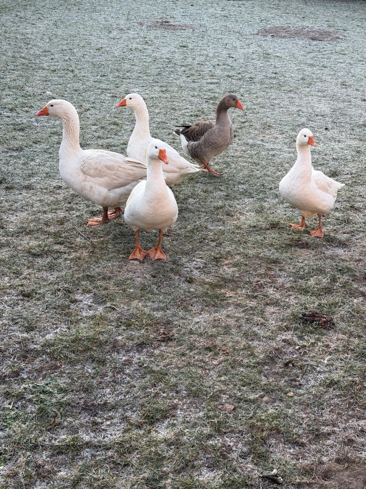 ac853b60-aaec-40ab-a9b0-f824647bb29a