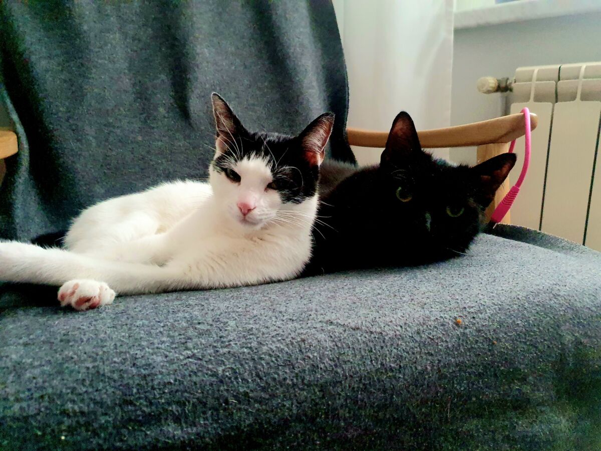 7bb2e616-5b4b-4554-8702-35ddb202b611