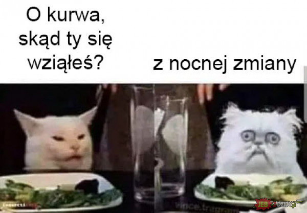 d0dbf227-0cb9-44f9-baf5-7b50ad8e6262