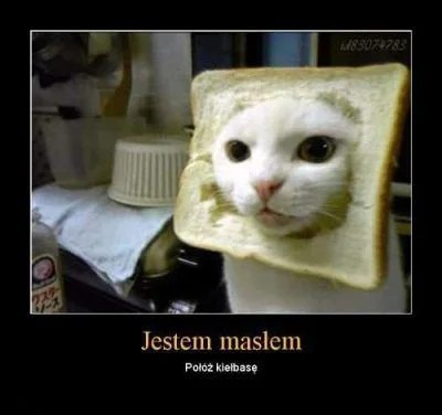 210997b7-07a3-44c7-831f-bcd2ea2f3ce1