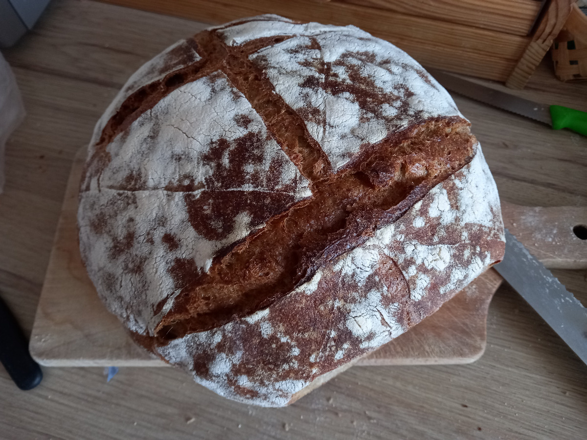 64eef585-0021-4947-b7bf-cdf4a164148a