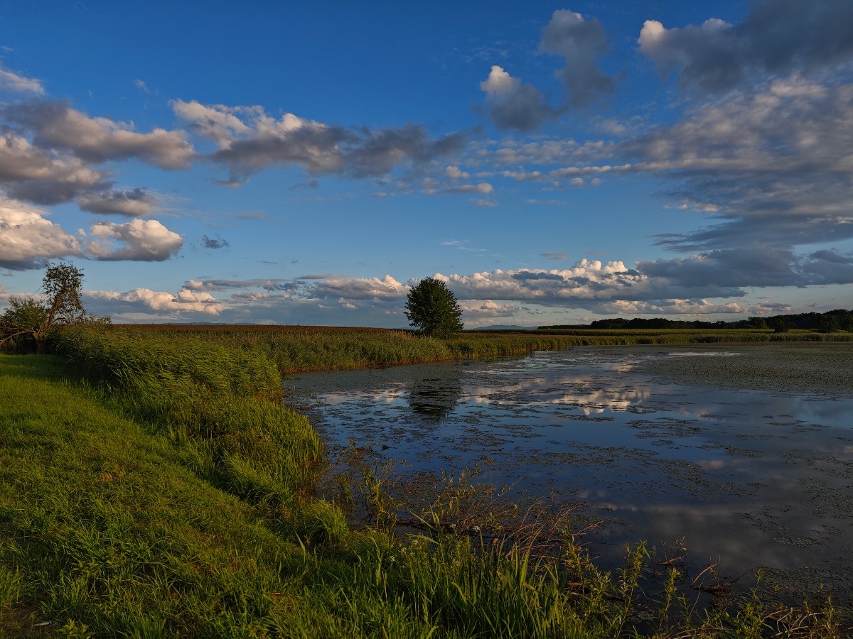 8da05e37-6e85-43fa-82d1-a82a858fc1f5