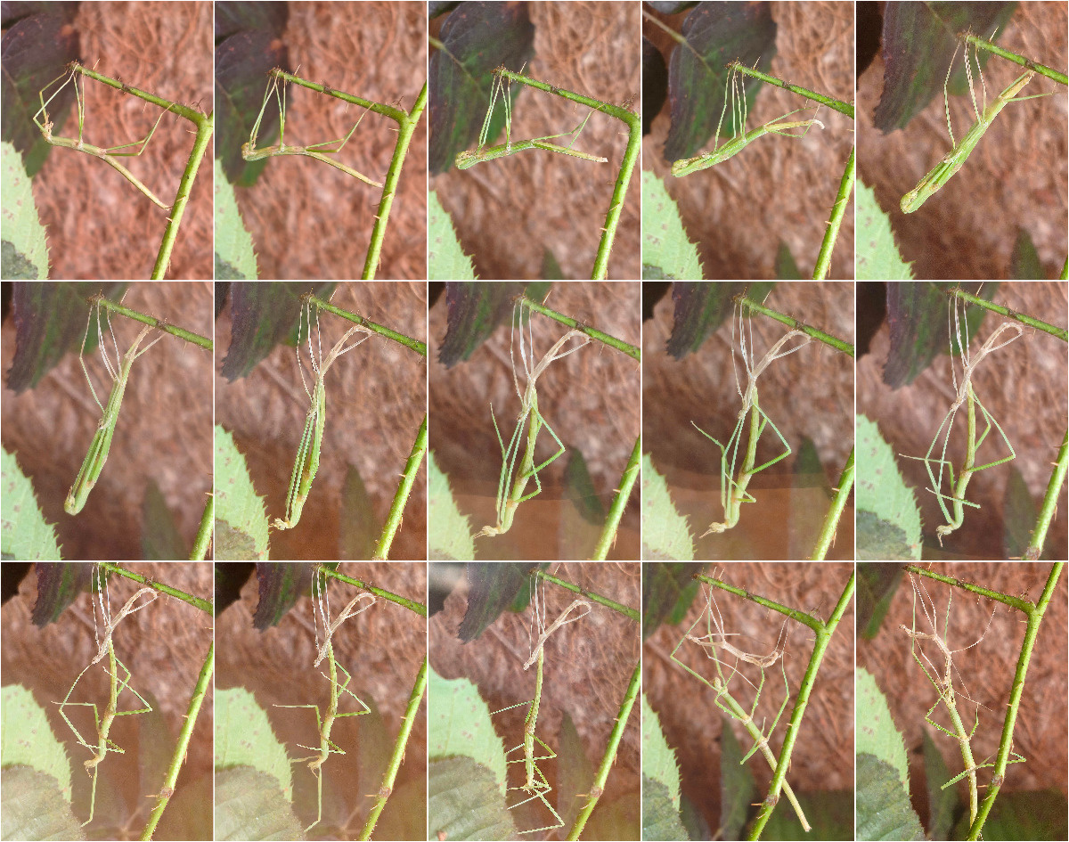 d463d703-2d70-4b53-8acb-f390b75e2b5a