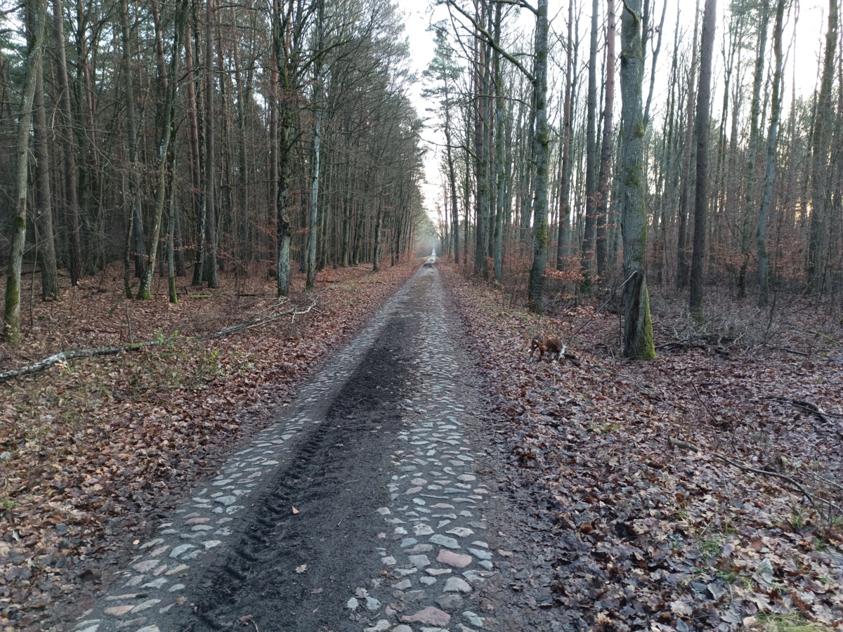 a5be1be4-4c66-4948-934a-f968515a8d5d