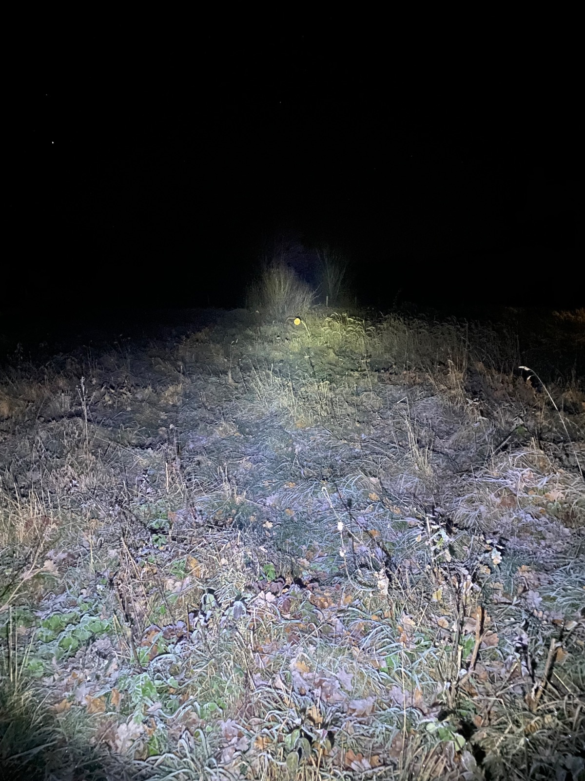 3c41b0ee-b3de-42c3-8dbd-62d8c033f59a