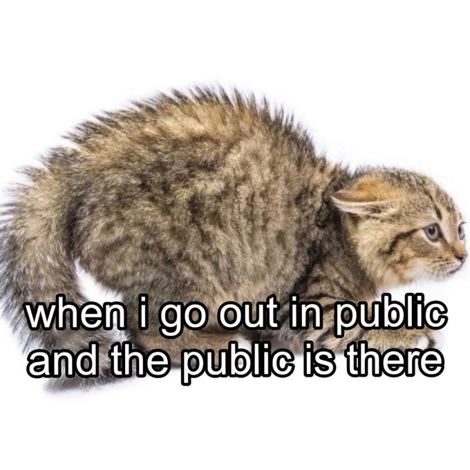 3e3f64c5-334f-4189-9b3f-bfd111e7973f