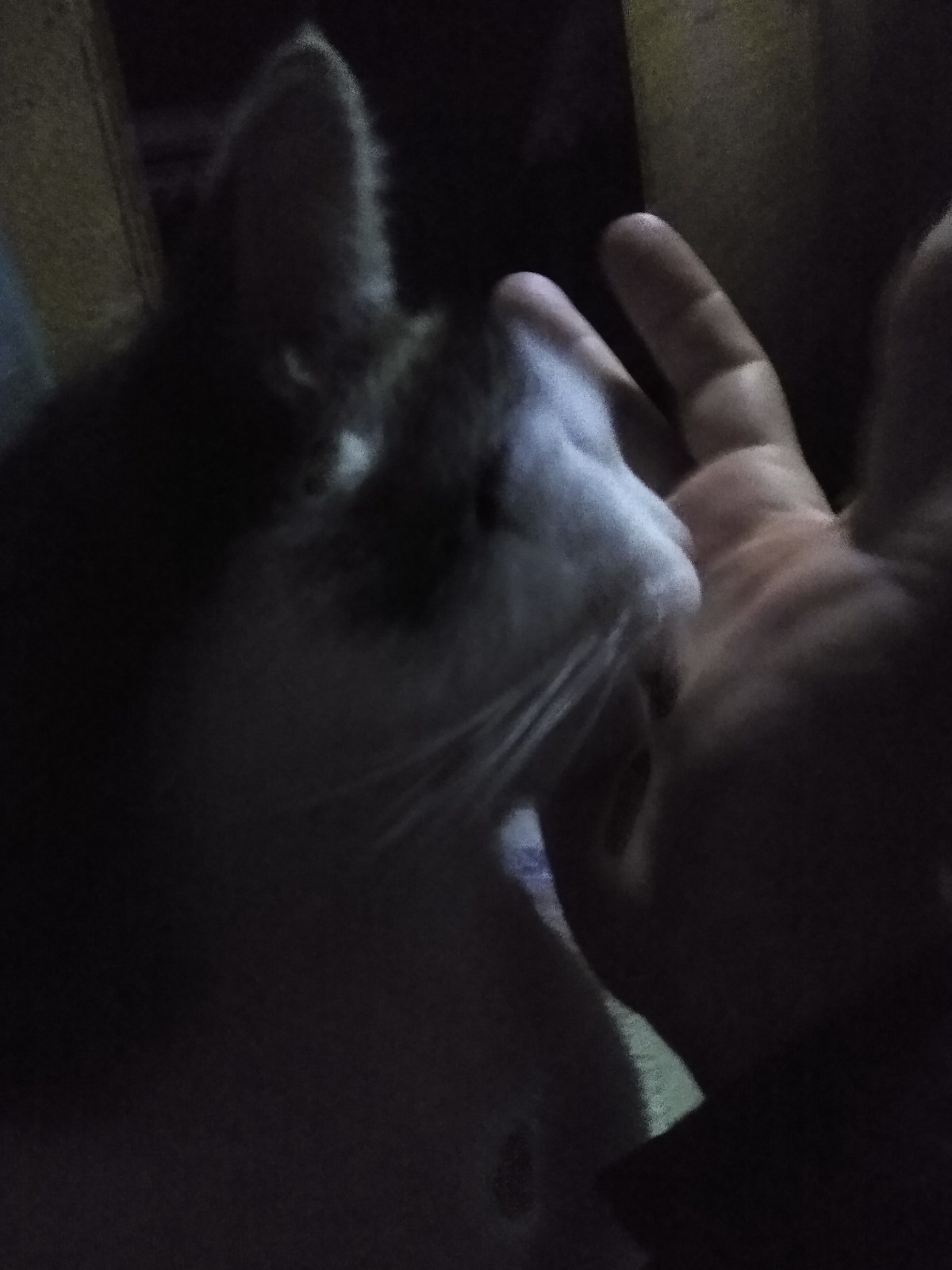 989b4baf-c8c3-4007-b09a-5c07b4239e2a