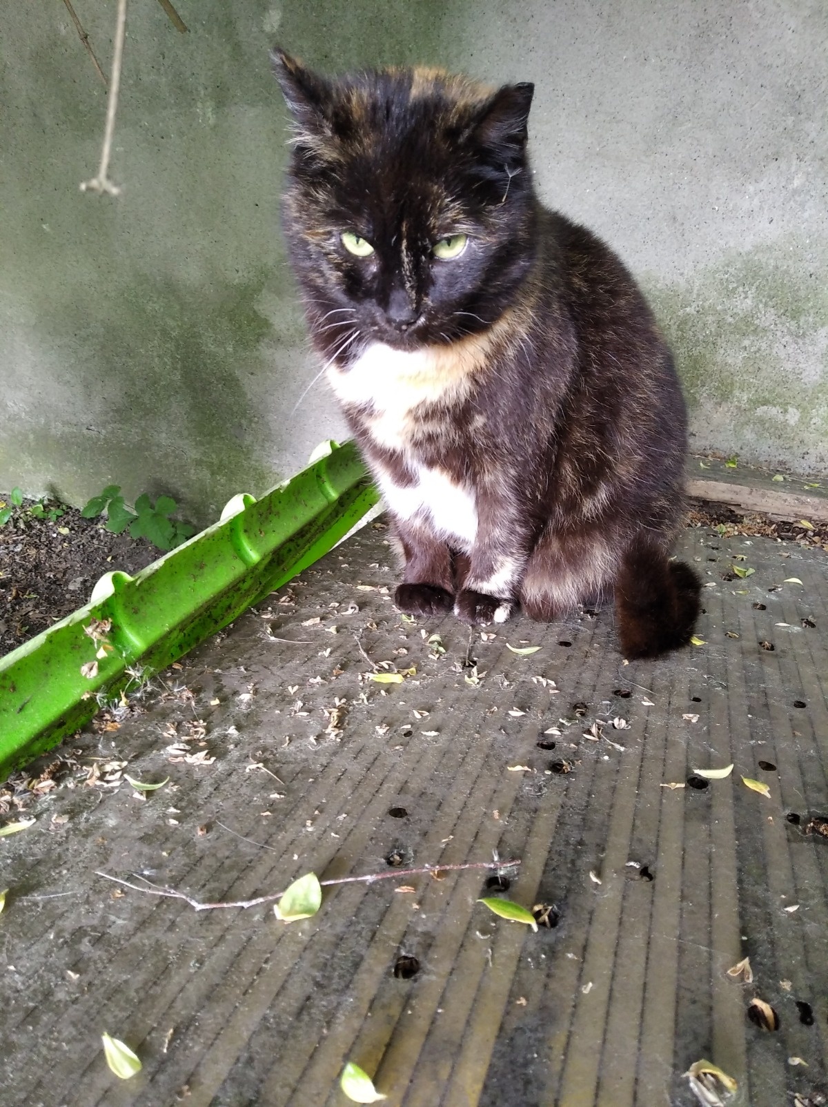 829e9502-3359-452a-bc77-e219770510c0