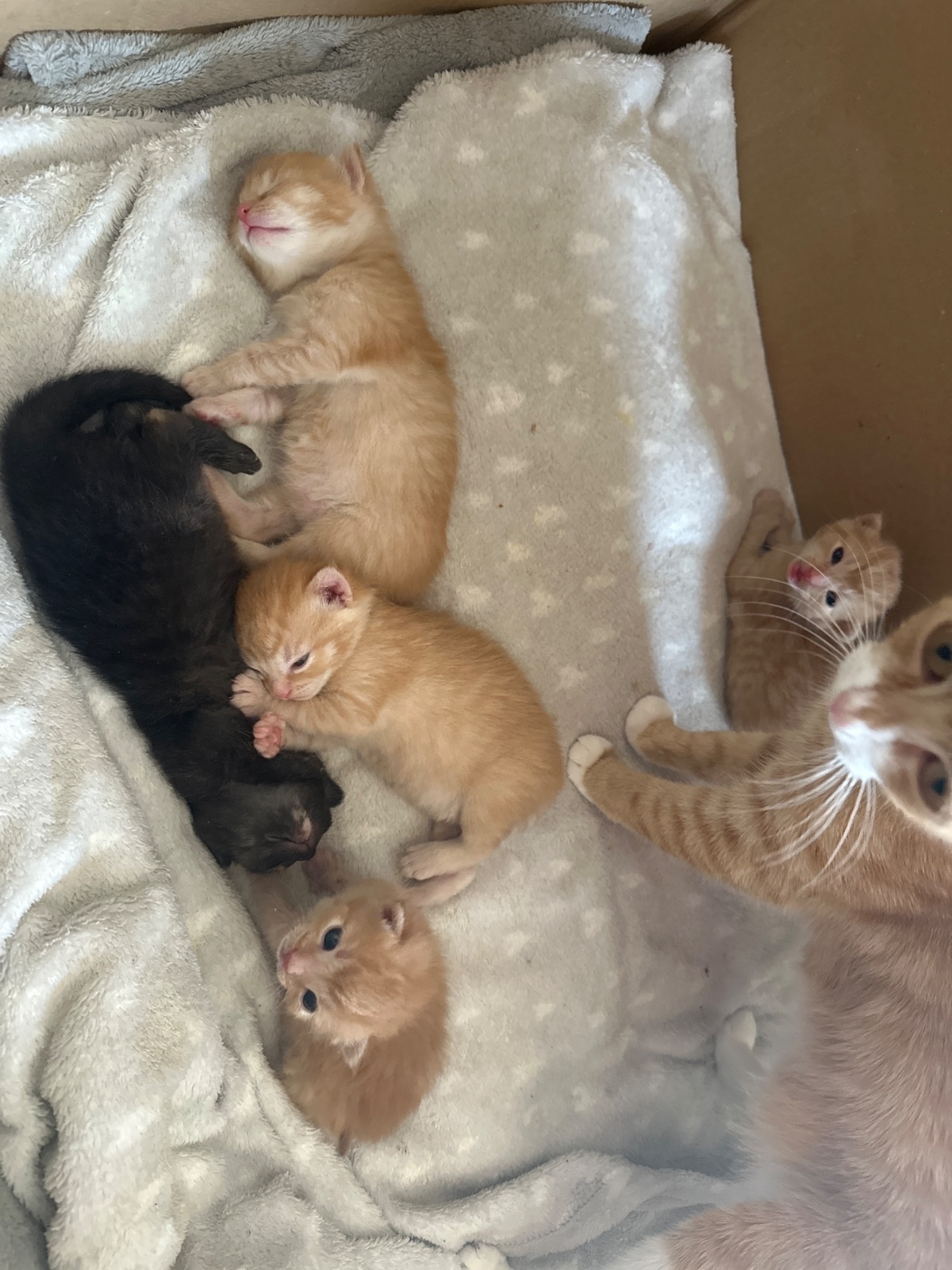 31baccae-3521-4d63-96ec-68e8d5dc6481