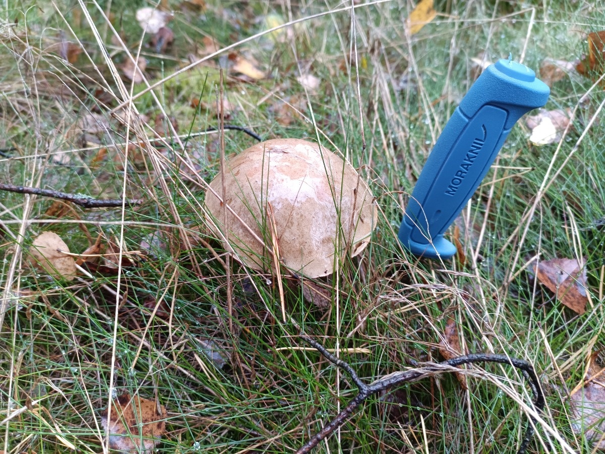 d4ff8ed4-c404-4f13-adae-99d707fd2589