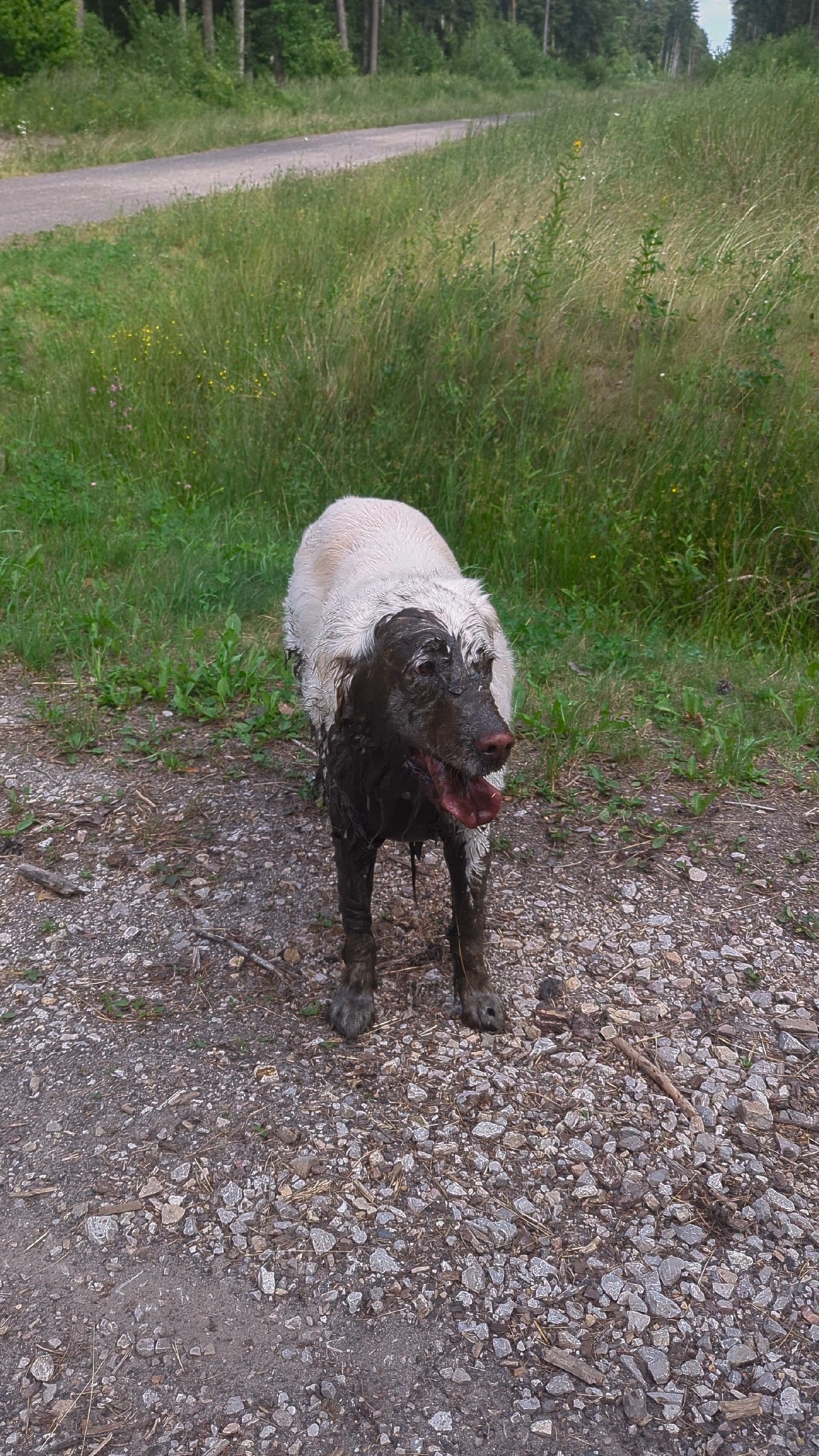 e0af8eb7-6108-4410-86a9-3dfba1530e45