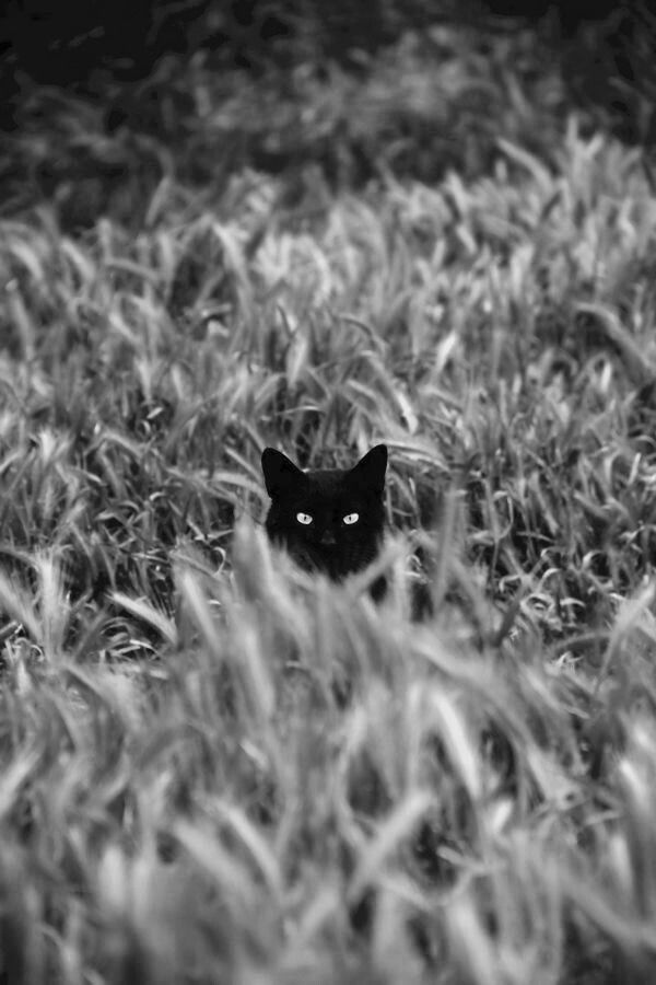 aef34e7c-8a74-4a23-9759-c922fc53bb4b