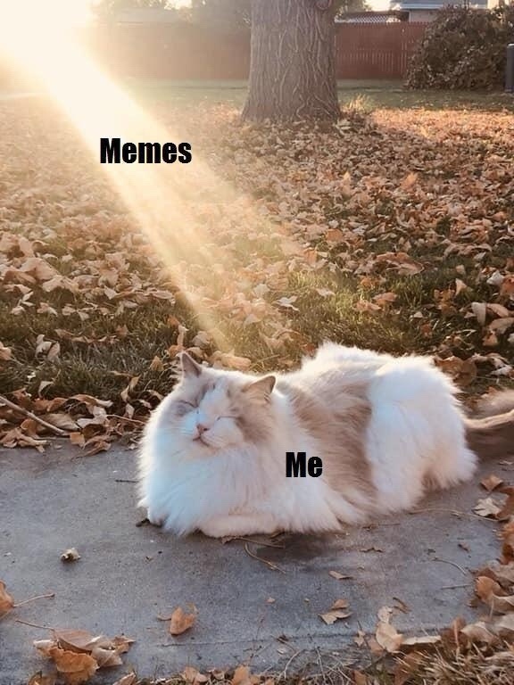 28514484-f1a0-4f7e-b61e-828711faca55