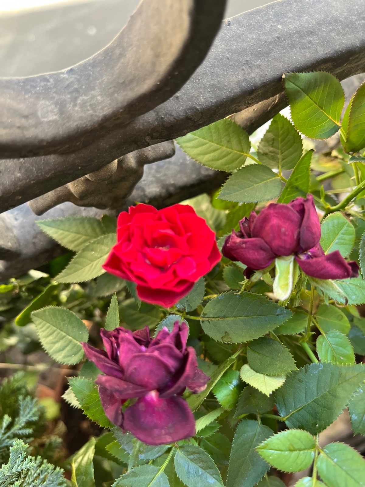 afde80cc-e795-43fa-83cb-94d75b3df8e7