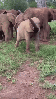 e0109b0b-2dd0-40da-ac87-c8822b9f0fd8