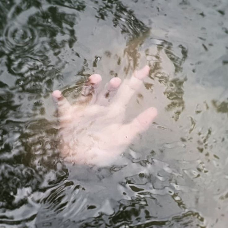 ac5f708e-4cf5-42e0-9f9e-30d4a9a44fdd