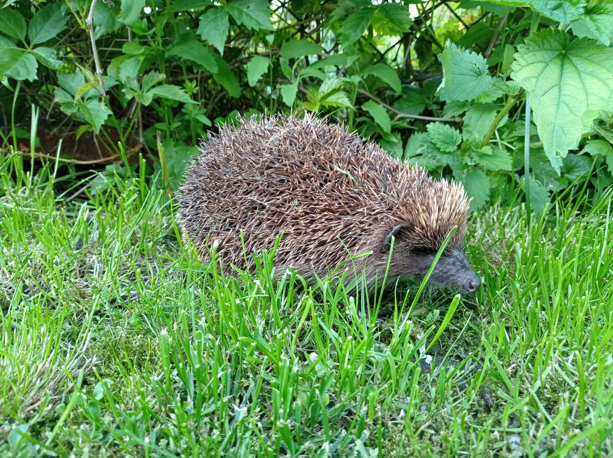 cd0c89f9-9dac-4618-af6e-046e077a58bf