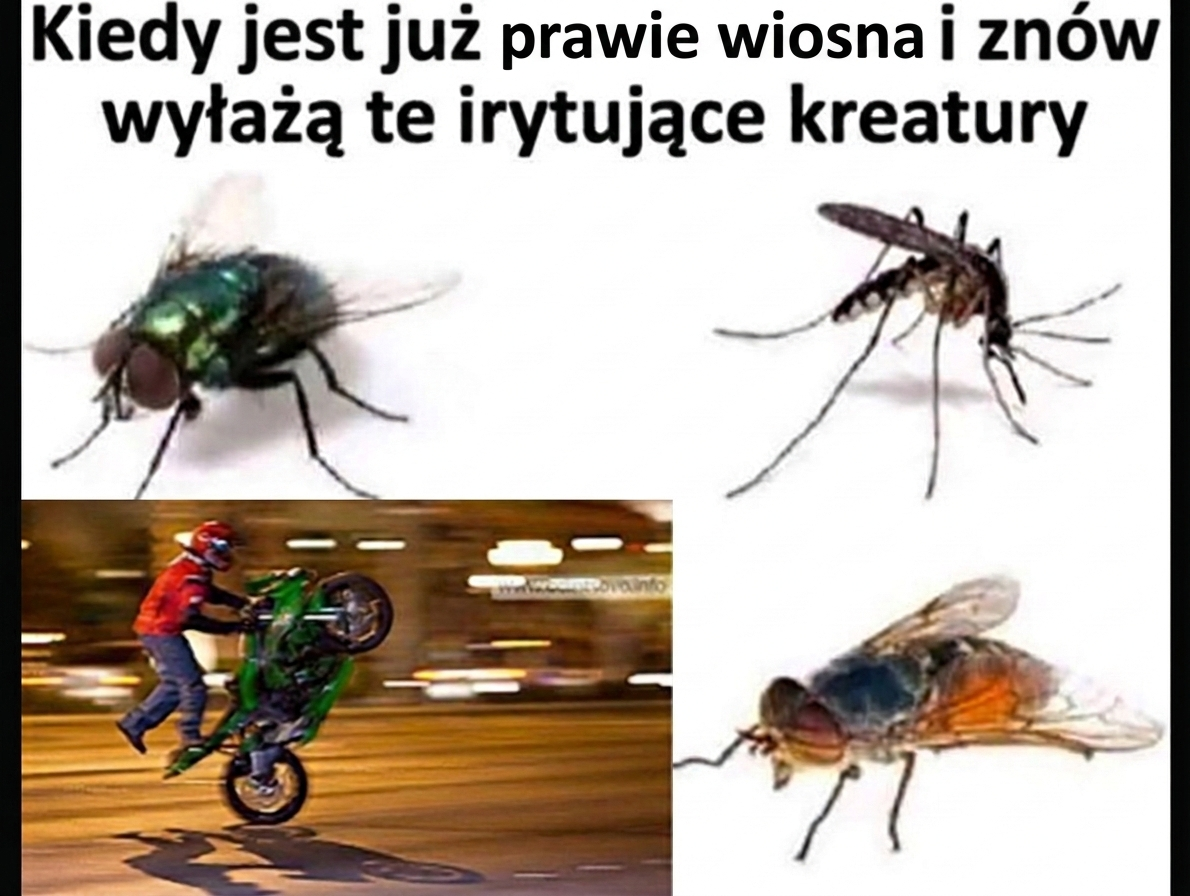 ce80999c-13c9-4208-91ea-be4ba702d82a