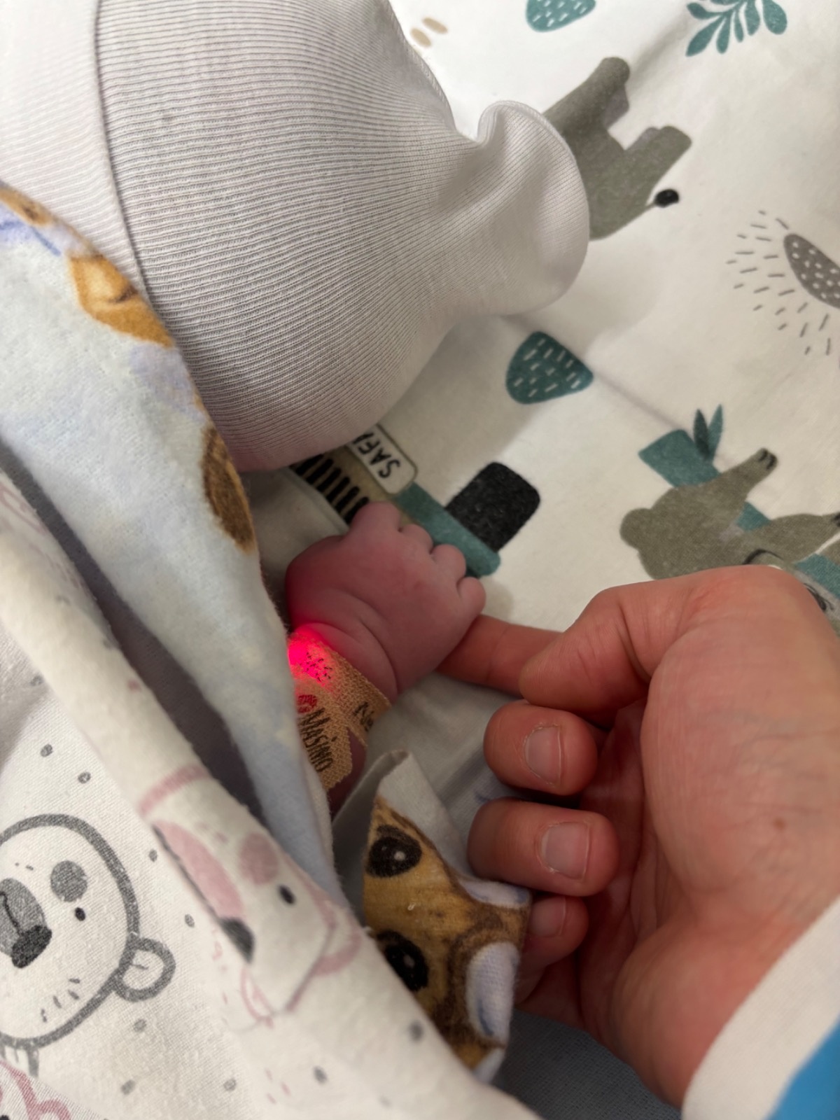 6c7d31e6-43af-44cb-989e-e16f46335c13