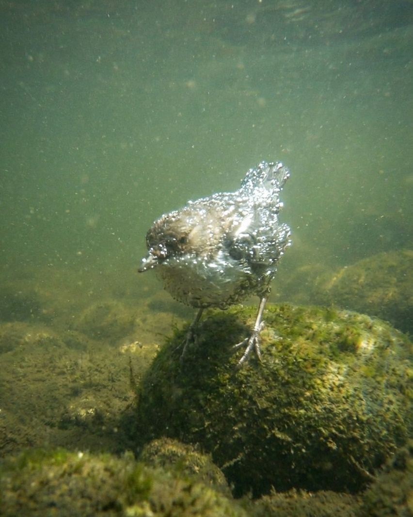 89758de0-149f-45cb-98a7-0c8f72b243da