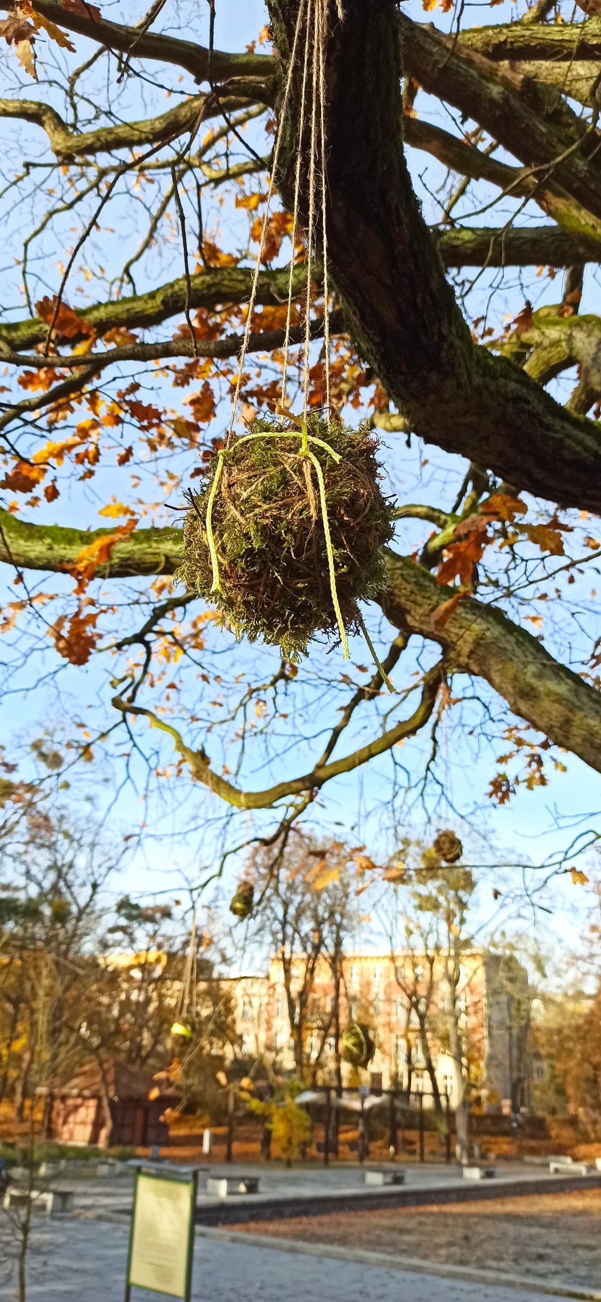 4dc66e33-bcdd-47b9-a973-676f3cb7c7f6