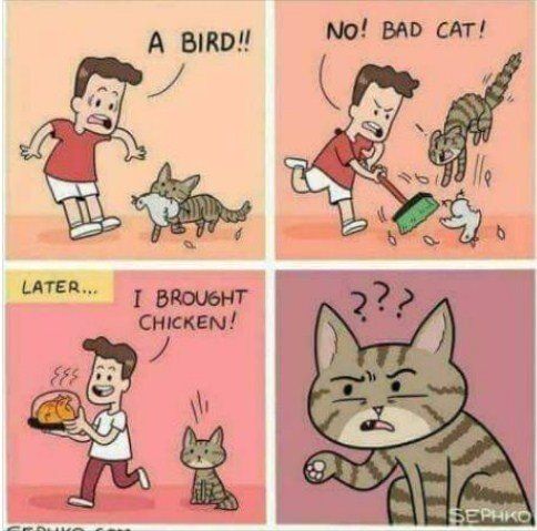 734fd1cb-7512-4843-bdb3-a7ccae57e0a5