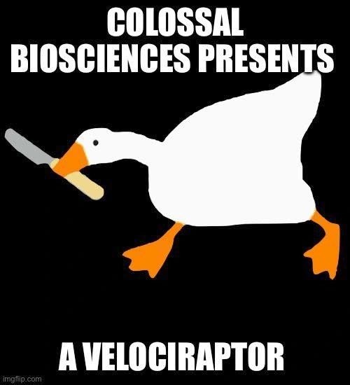 d0bf63ba-d4e8-4cf5-b14f-bf7291e1e20d