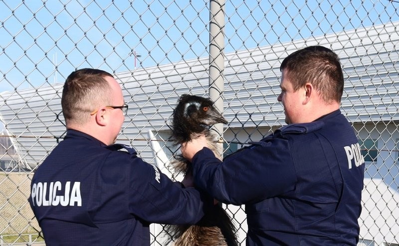 ba985aba-51b7-4ad6-b61e-c2aff635d6b4