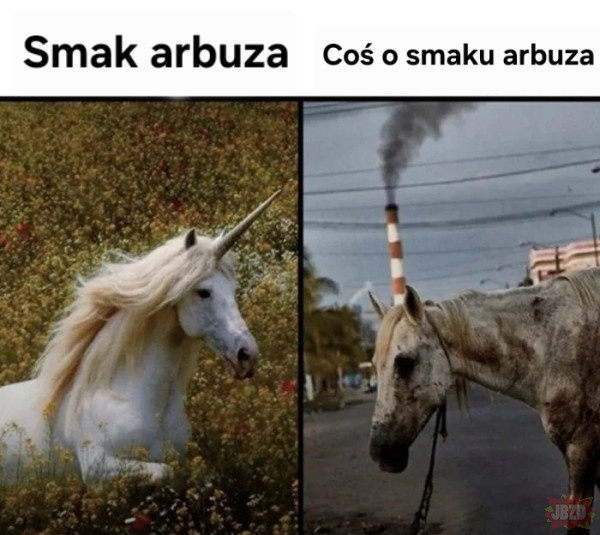 2e13bed1-9457-484e-a4a7-288e6563d515