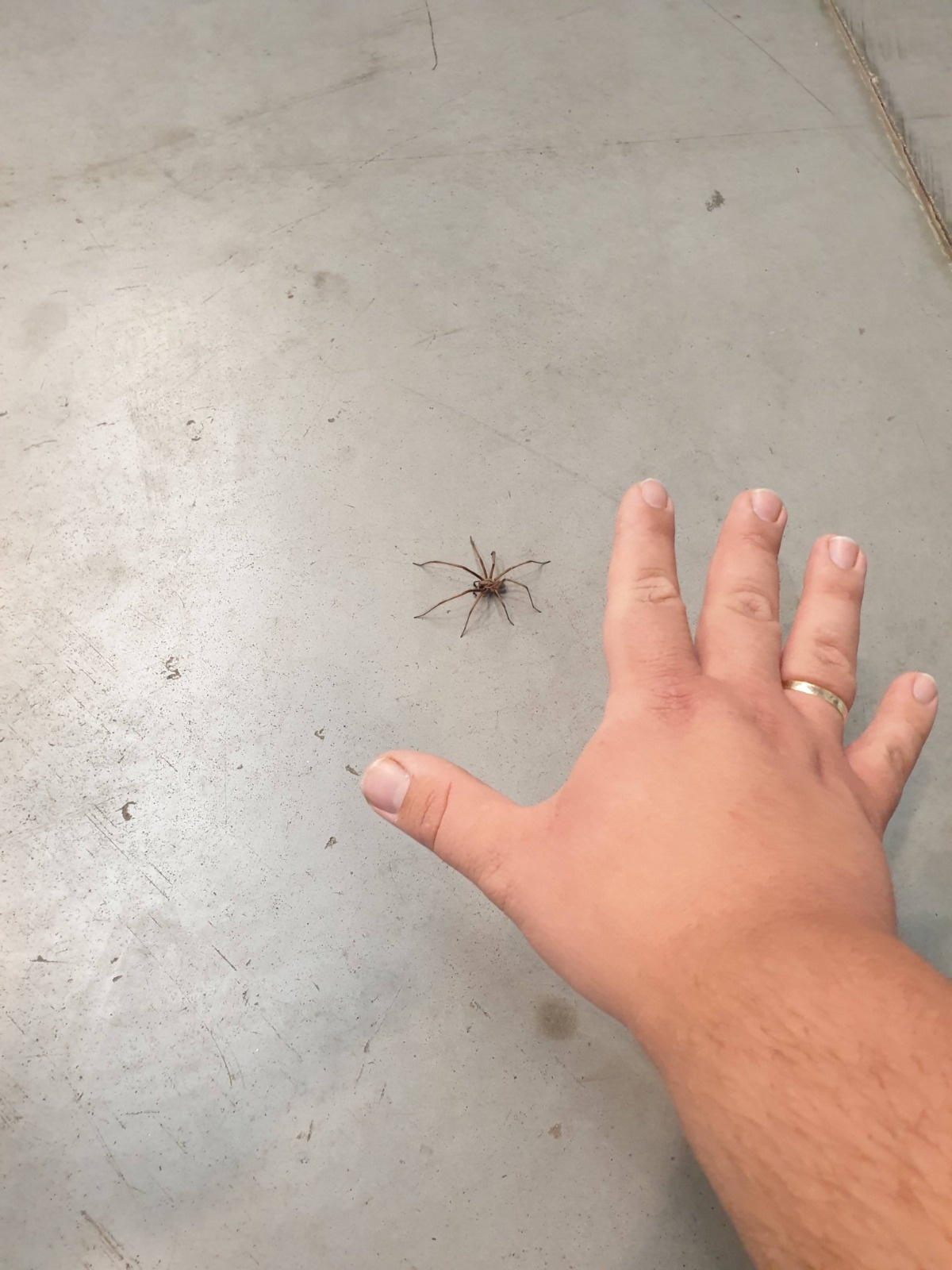 bf6f892f-373e-4ed9-8858-8cdf463049dc