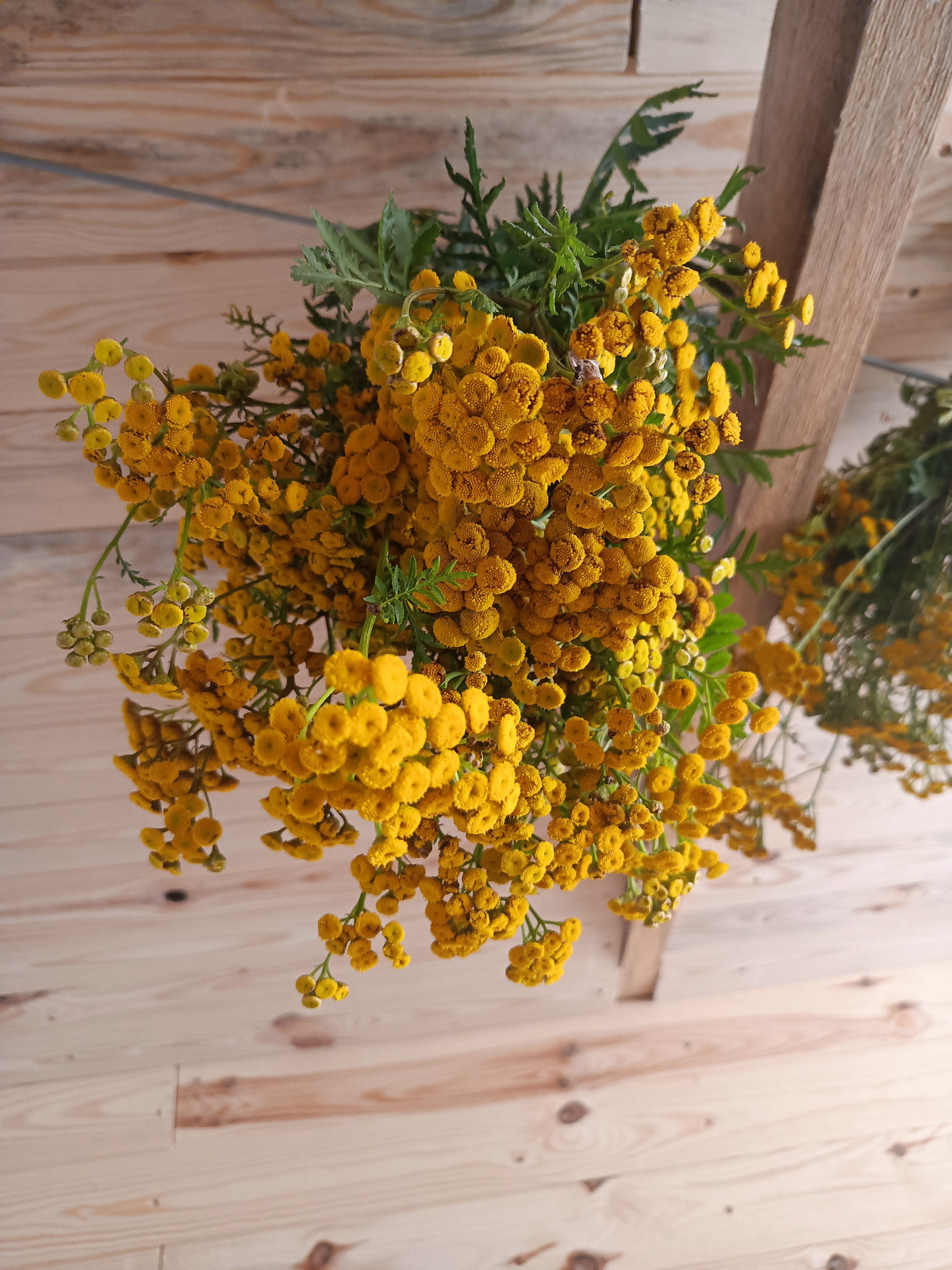 64fe8a70-cbfb-485e-9dbd-aae4ddc24bb1