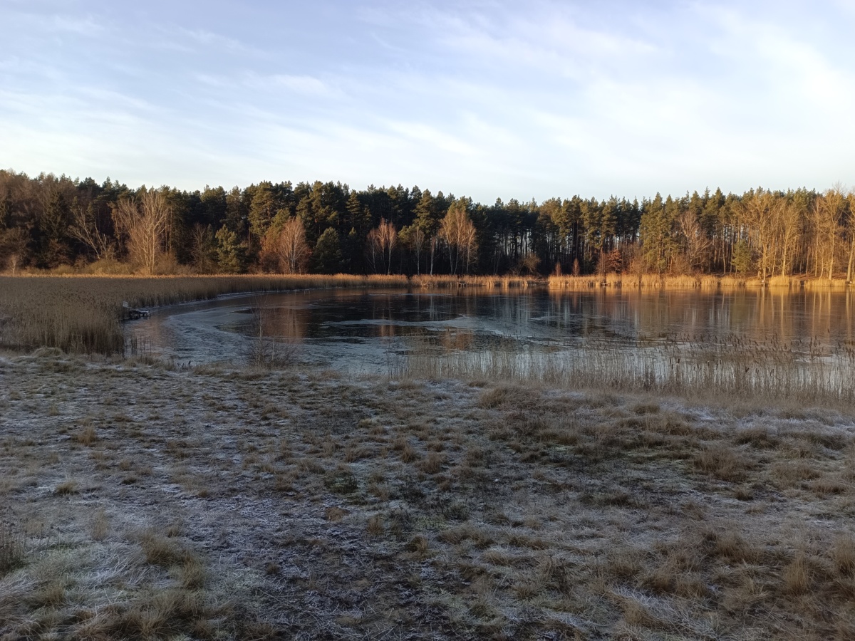 d01c194c-bff0-4439-b1e7-d71e3a66d3ff