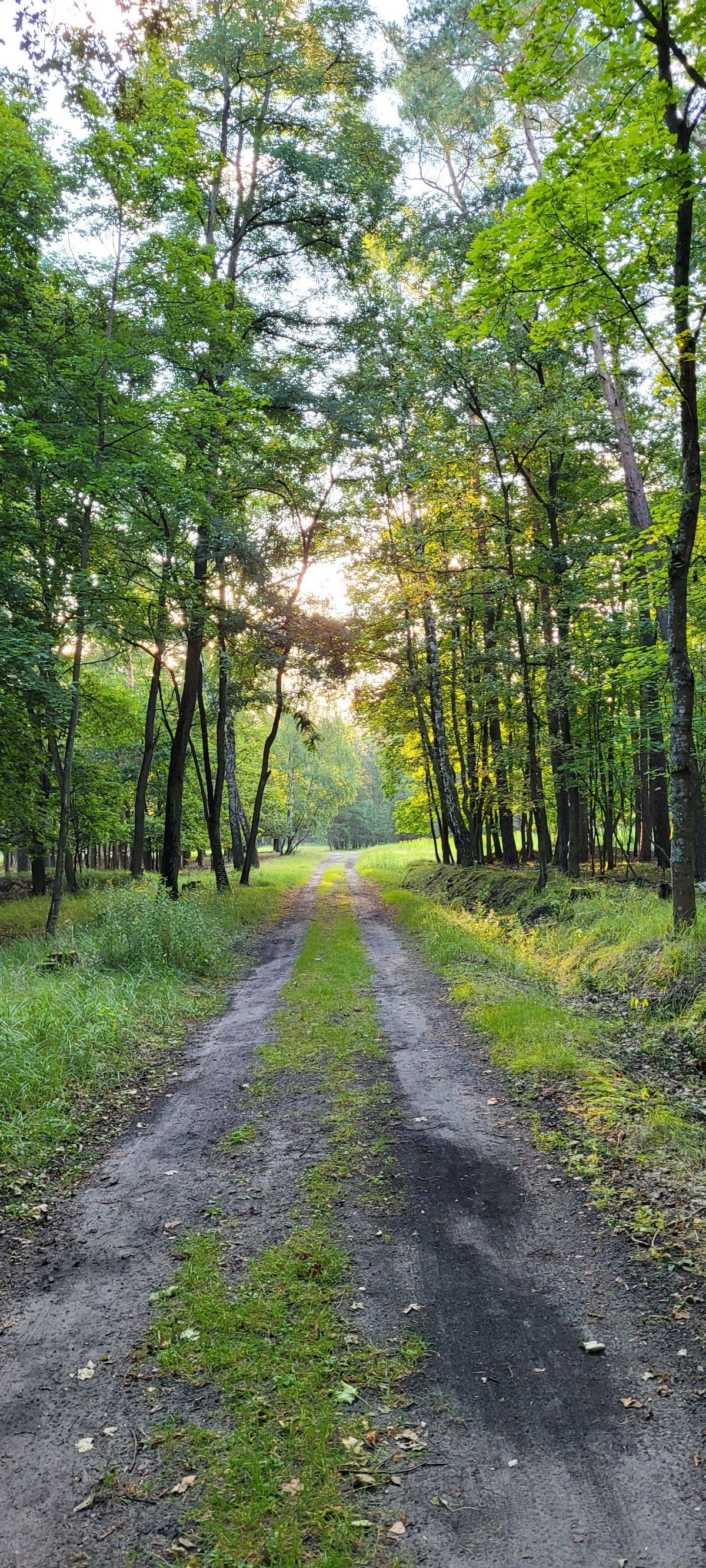 c63e8c09-33f9-45e7-b377-6565ad742820