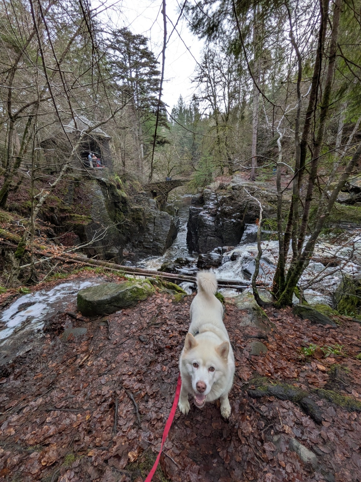 564b0c0e-0a87-47d6-b3fd-1d5ad77cc4a3