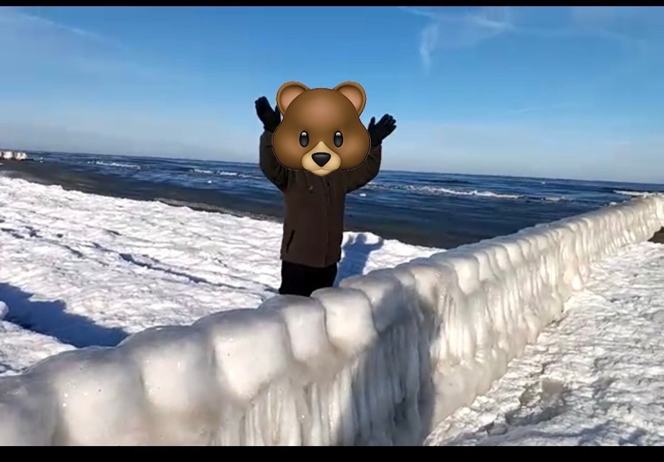 d8f9c427-e5a7-40f6-a3e5-4b4b795f7c4c