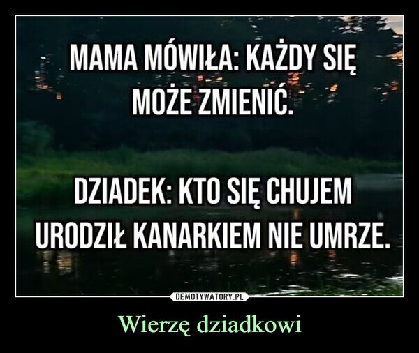 e53ed146-1633-4bdf-a427-d5e25e0a5ad2