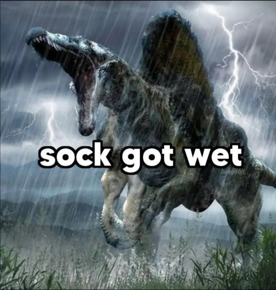 2c19feae-6b91-4f62-a456-9366a9b5dafa