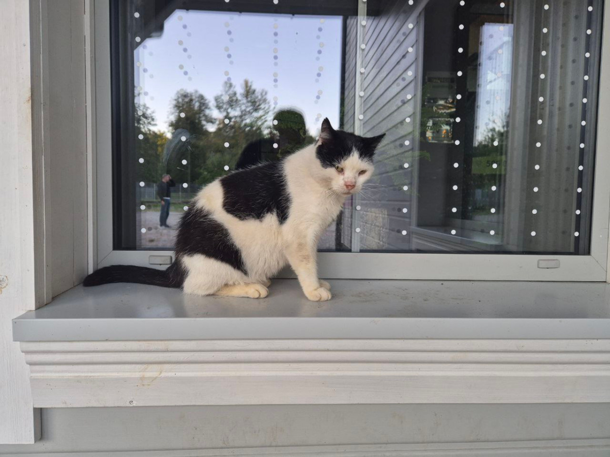 P(e)odlaskie Motocyklowe ZIUUUUUUEEEOOOooo za Babką, kartaczem i duchem puszczy! Part 2