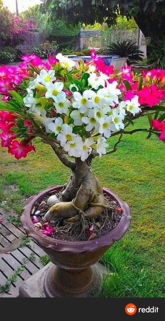 6ceb22d5-94d7-4c0f-9062-ca11172873e5