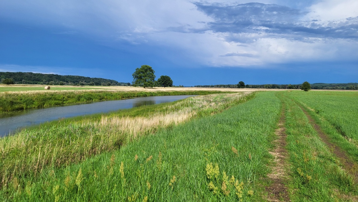 0961871e-5f06-4374-99ce-1b0d7bfc909d