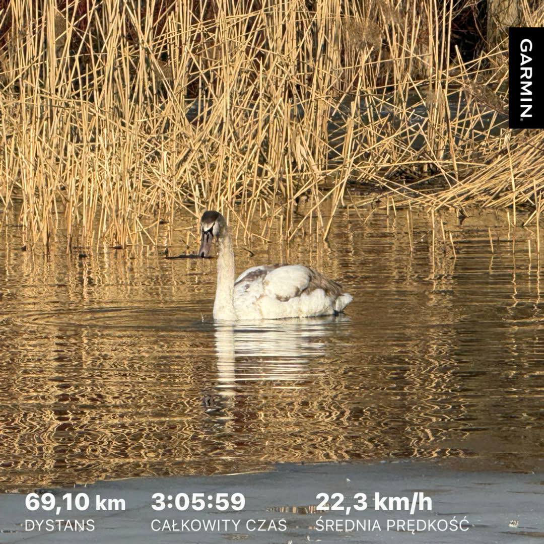 de98eac1-c554-4313-abee-03f3e44d351f