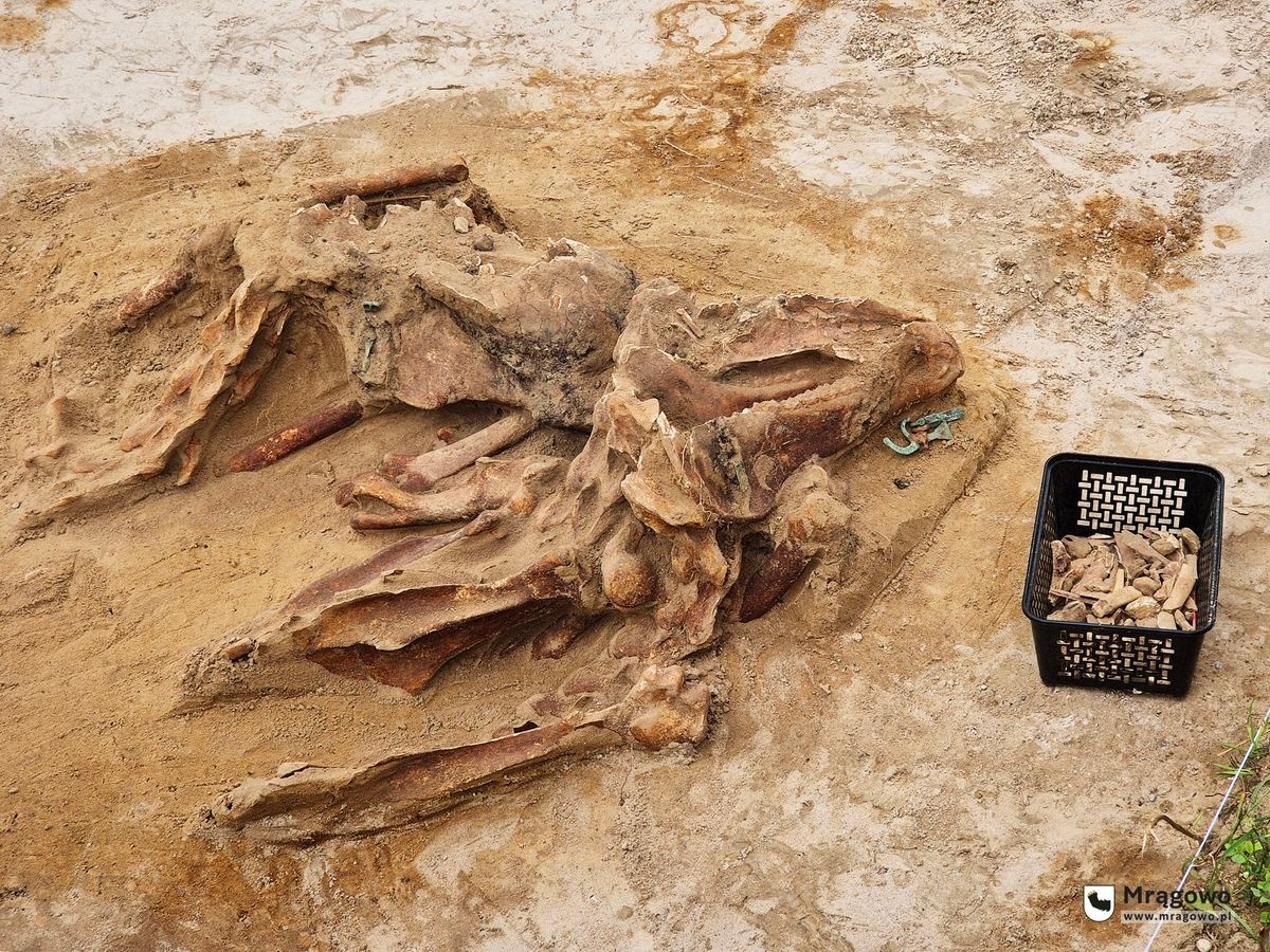 Dlaczego je chowali? Sensacyjne odkrycie na Mazurach