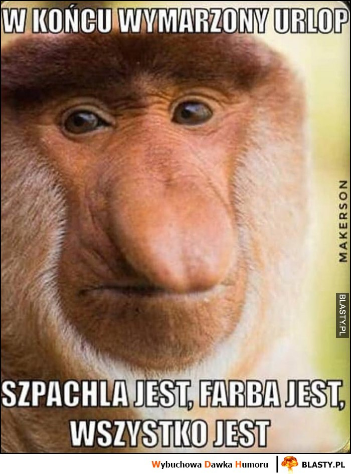 bc26668e-e39d-4850-8487-a94ce6ad69fe