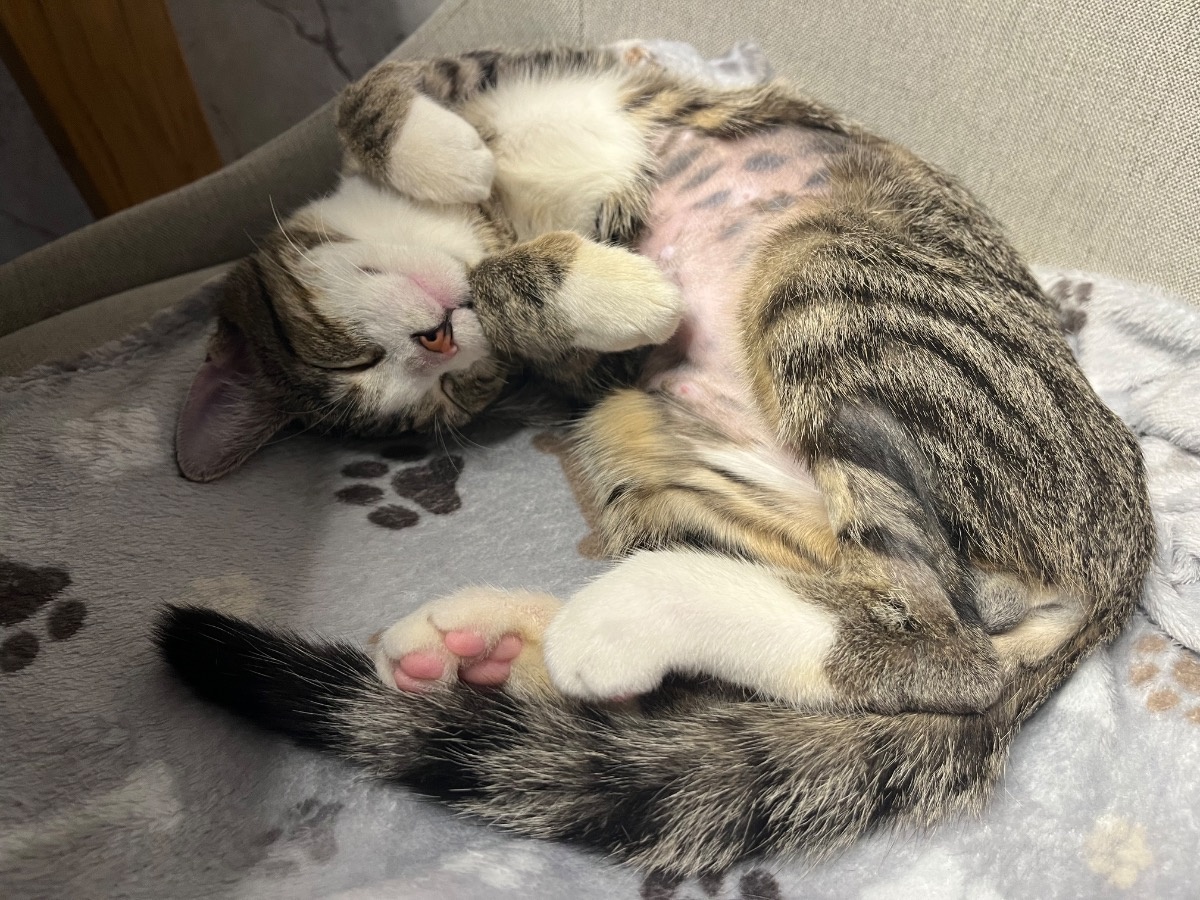 1cd85d9c-e852-4fc6-9121-43b167c6d128