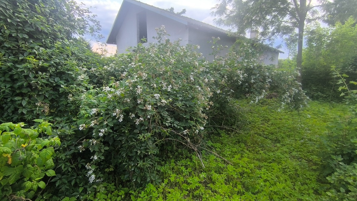 410357e4-d36f-45eb-8d4c-2fe030ba8402