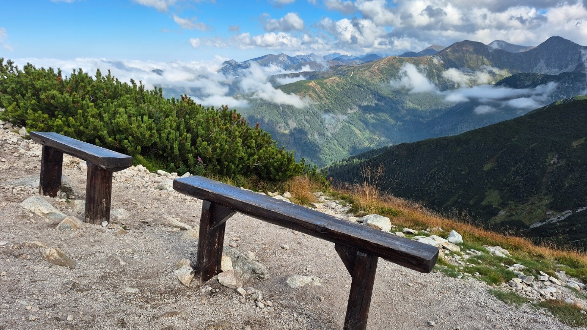 bf082161-7fa4-4228-a904-21260cb4fef9