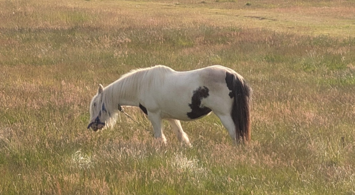 14e4badf-a872-41be-8bb4-c8b95bf86fb7